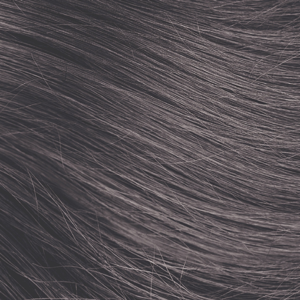 Aloxxi Silver Fox 200 ml.